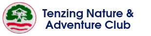 Tenzing Logo